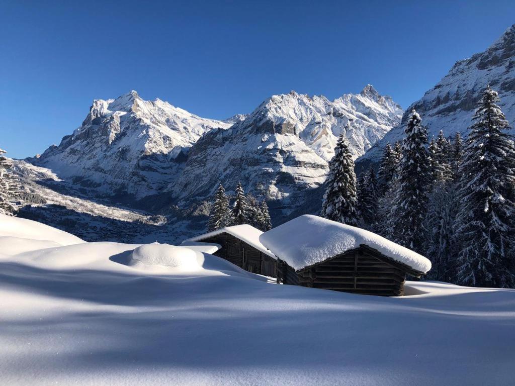 Chalet Caramelle Grindelwald Luaran gambar